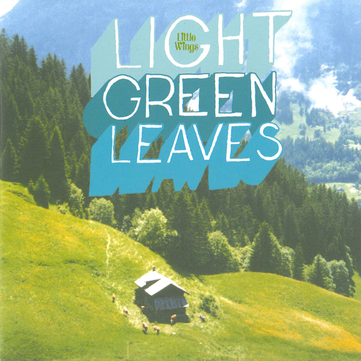 Little Wings – Light Green Leaves